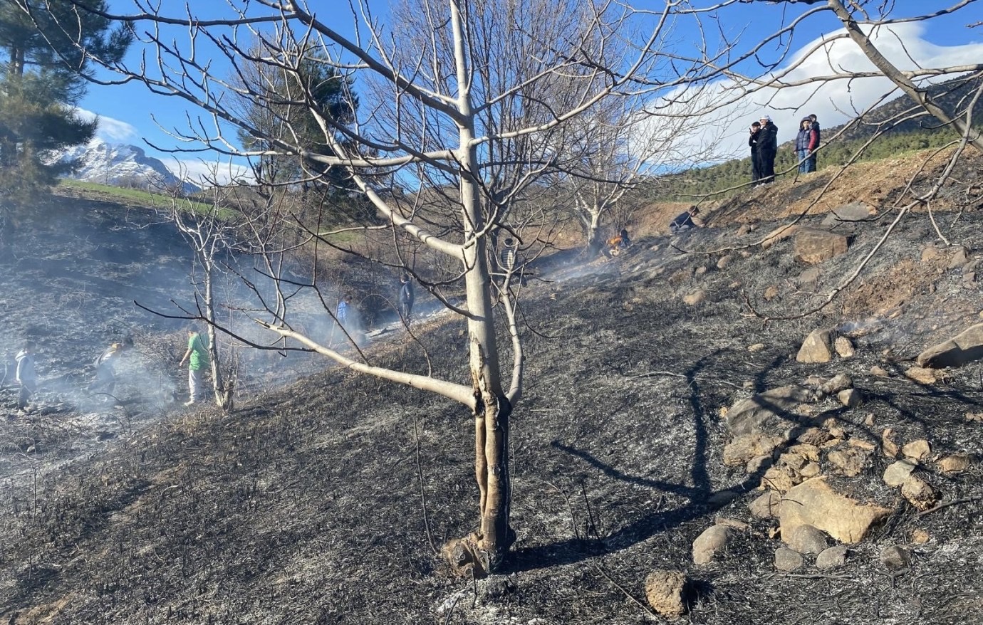 Aladağ Yangını Kontrol Altına Alındı