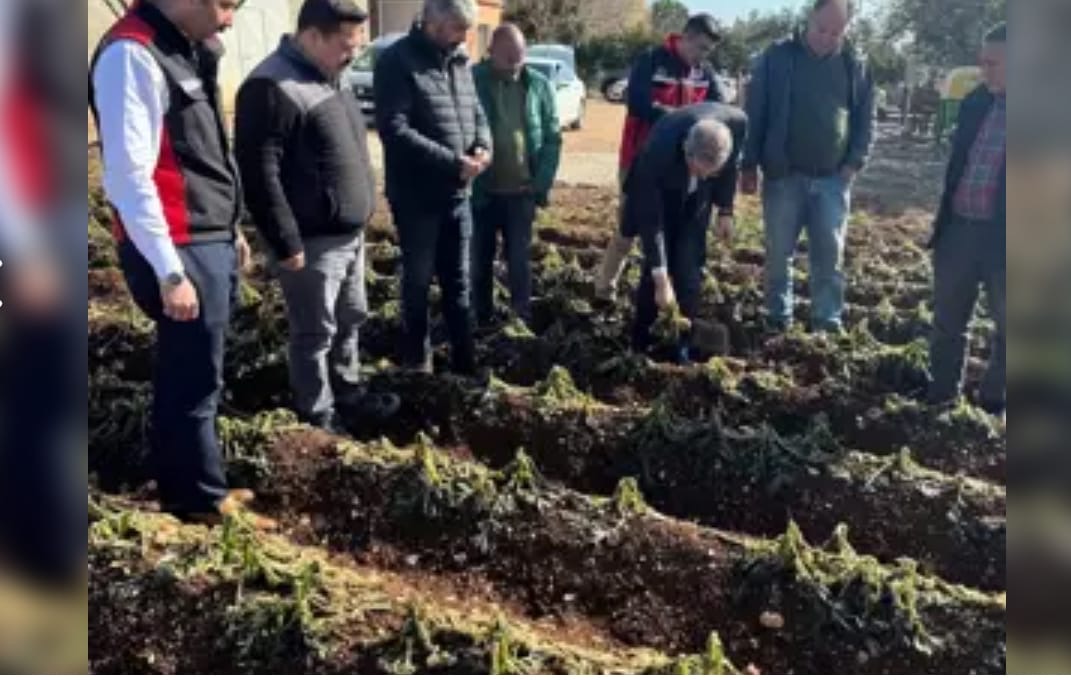 Adana’da Don Afetine Hasar Tespiti