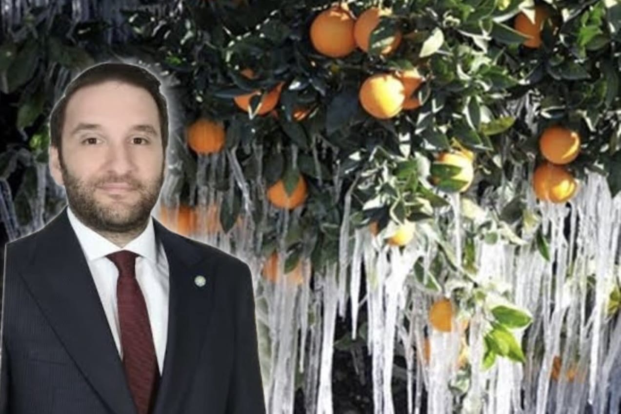 “Bakan Bey Üreticinin Halini Görmeli”