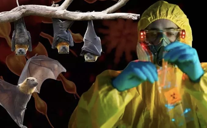 DİKKAT! Dünya Sağlık Örgütü Uyardı