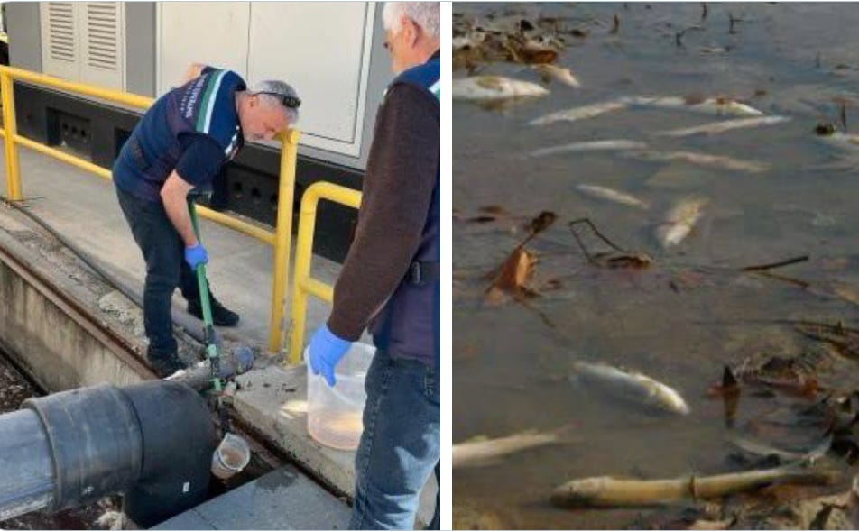 Ceyhan Nehri Mercek Altına Alındı!