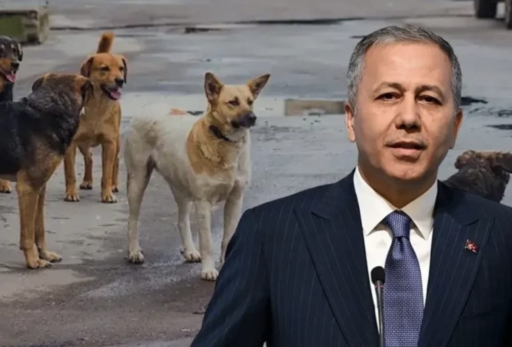 Mülkiye Müfettişleri Görevlendirildi