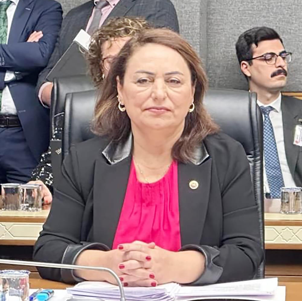 “İklim Kanunu, sermayenin kurtuluş reçetesi olmuş!”