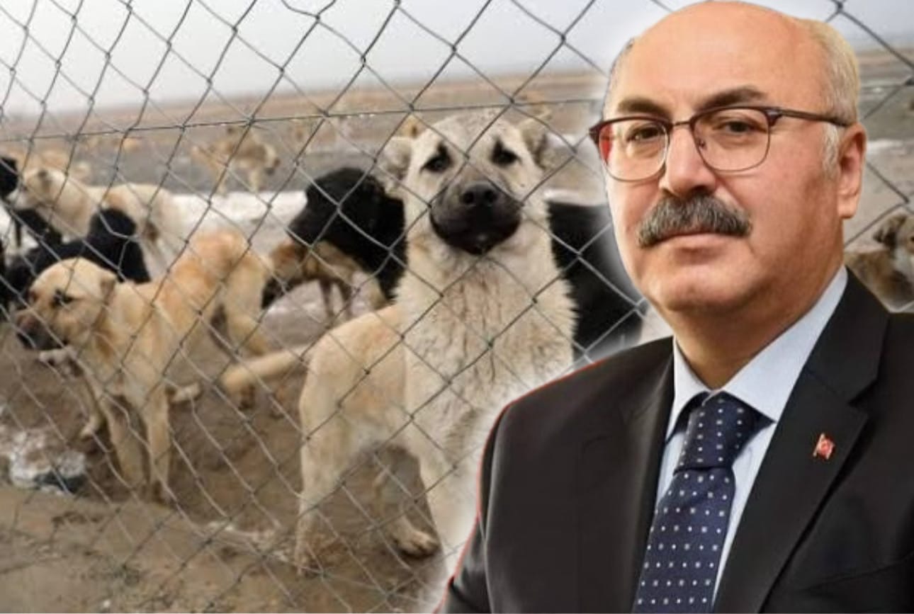 “Belediyelere Arazi Tahsis Edebiliriz”