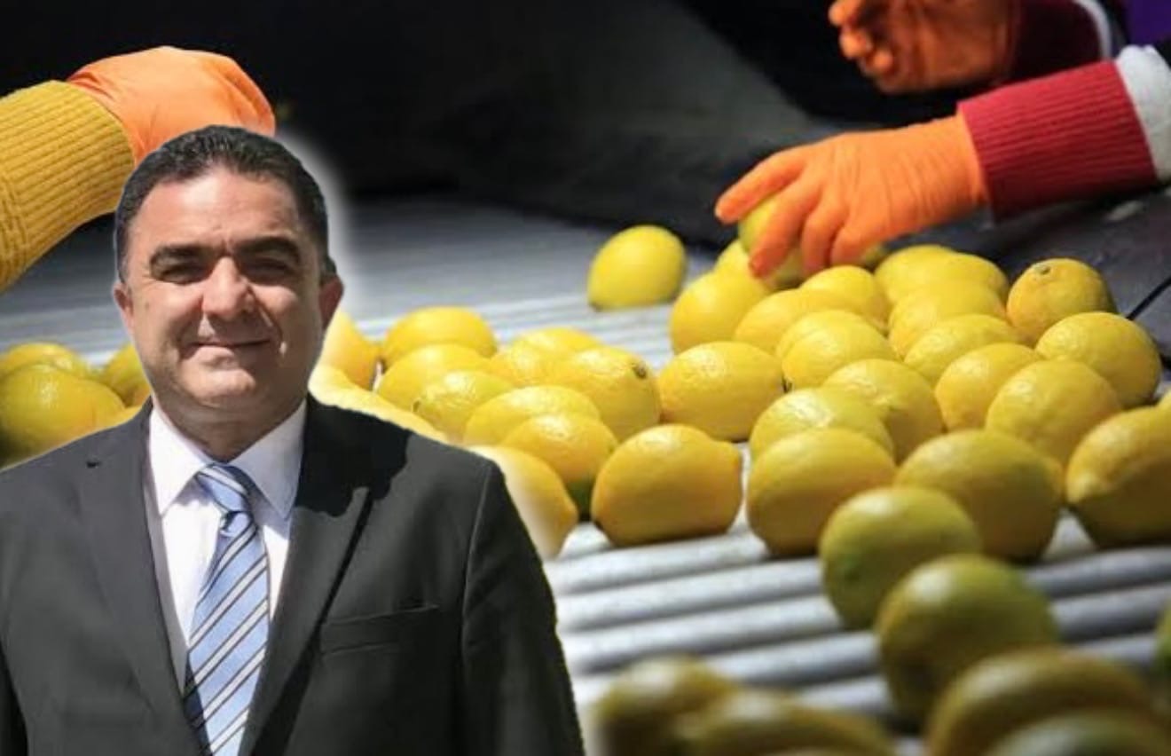 Limonda Spekülatörlere Dikkat Çekti