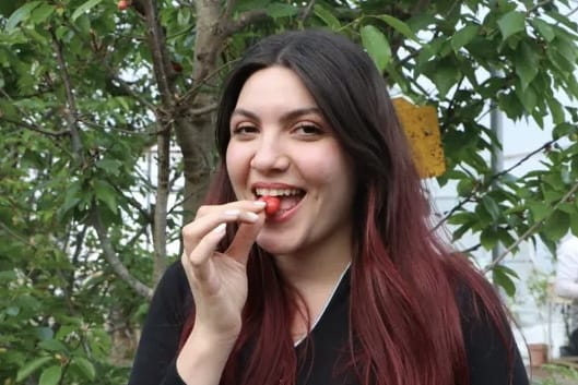 Kiraz Dondan Yüzde 30 Etkilendi