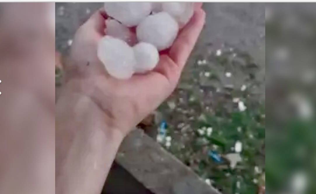 Ceyhan’da Dolu Tarıma Darbe Vurdu