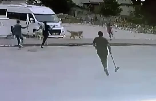 Köpekler Saldırdı; Esnaf Kurtardı…