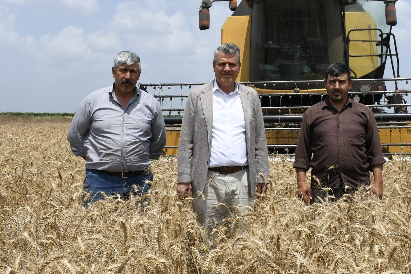 “Buğday Rekoltesinde Korkutan Düşüş”