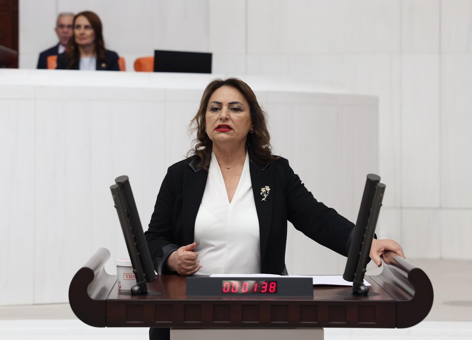 “1993’ten bu yana neredeyse ÇED olumsuz raporu yok”