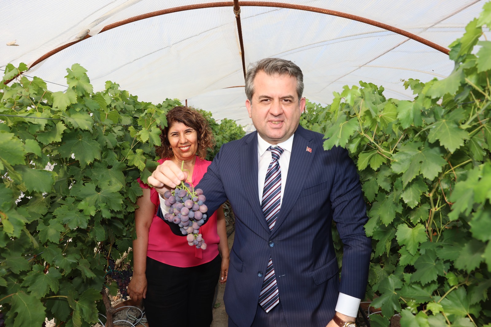 Çukurova Üniversitesinde Topraksız Kültürde Üzüm ve Maviyemiş Hasadı Gerçekleştirildi