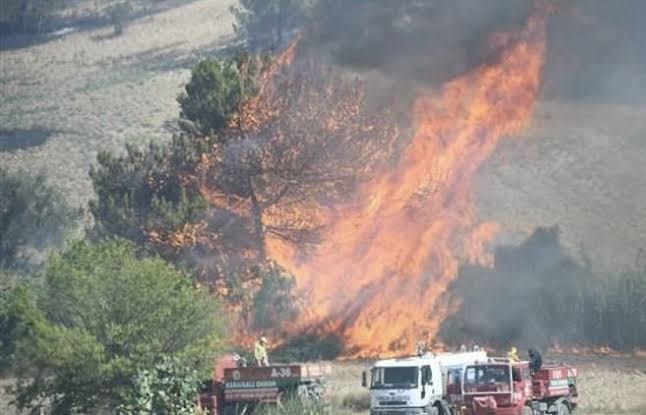 İki Orman Yangınına 7 Tutuklama