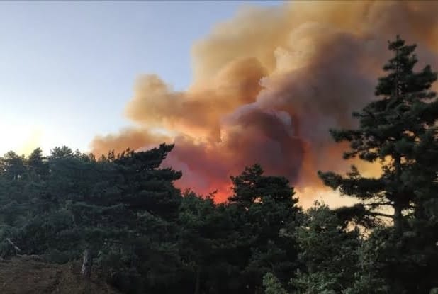 Orman Yangınlarına Üç Tutuklama