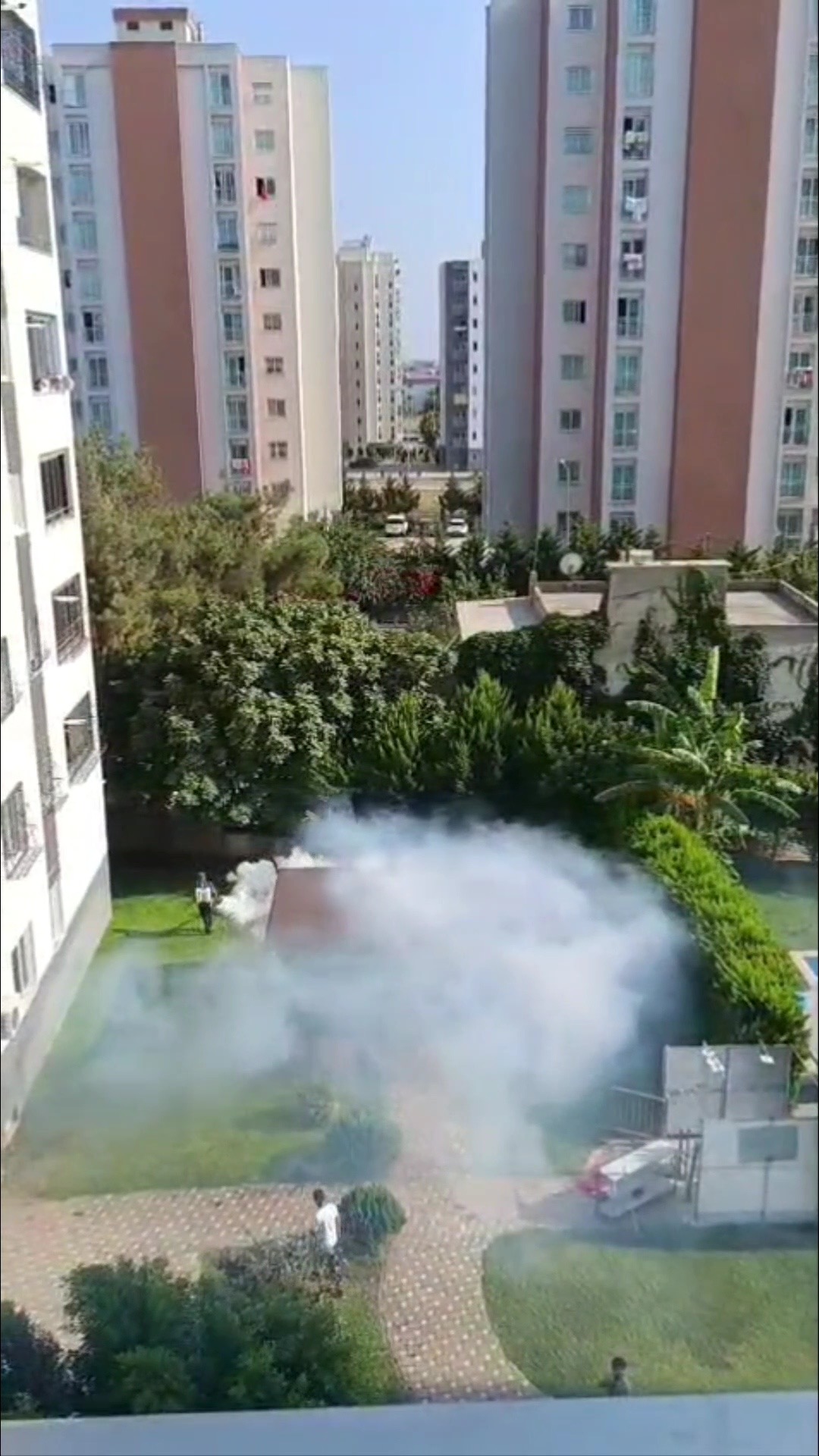 “Sinekle mücadele vatandaşın değil Büyükşehir Belediyesi’nin işidir”