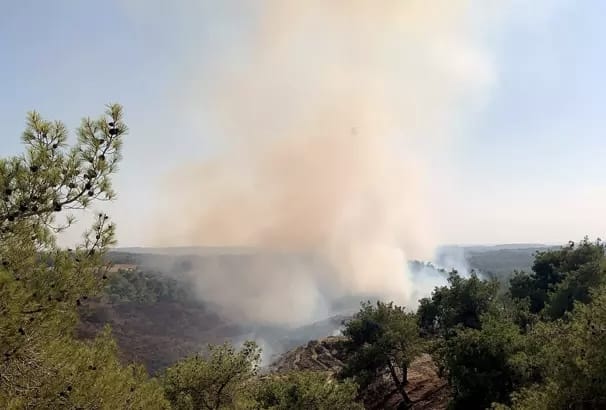 Sarıçam’da Yangın: Müdahale Başladı!