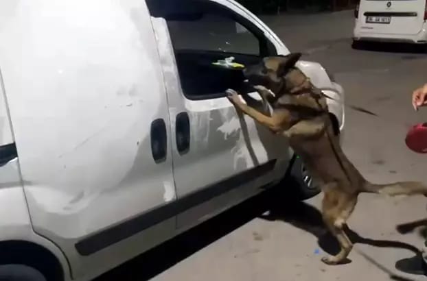 5 Kilo Esrar Çıktı: Haberim Yok