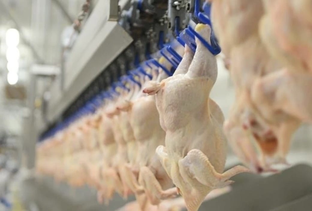 Rekabet Kurulu Ceza Yağdırdı