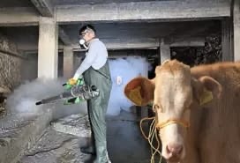 Hayvansal Gıdada ‘ŞAP’a Oturma Riski…