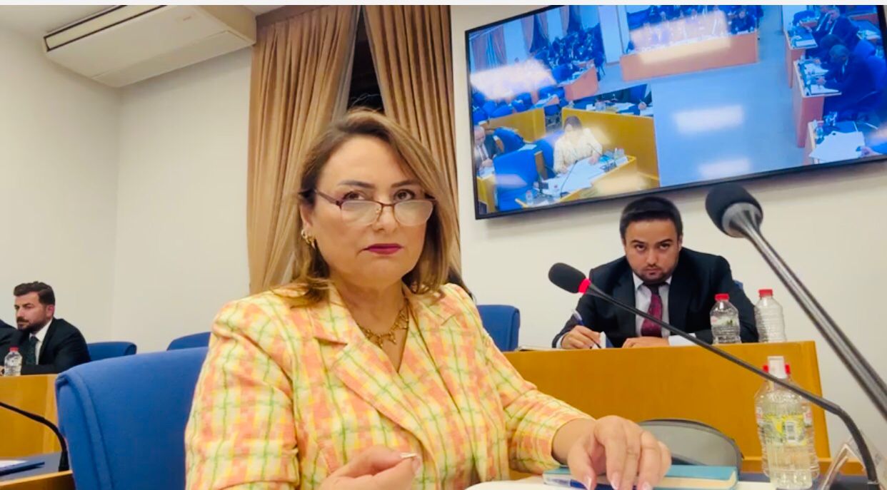 “Bir ülkede hukuk sistemi zedelenmişse ekonomik kalkınmadan söz edilemez”