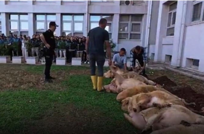 Çete Operasyonu İçin 7 Koç Kesildi