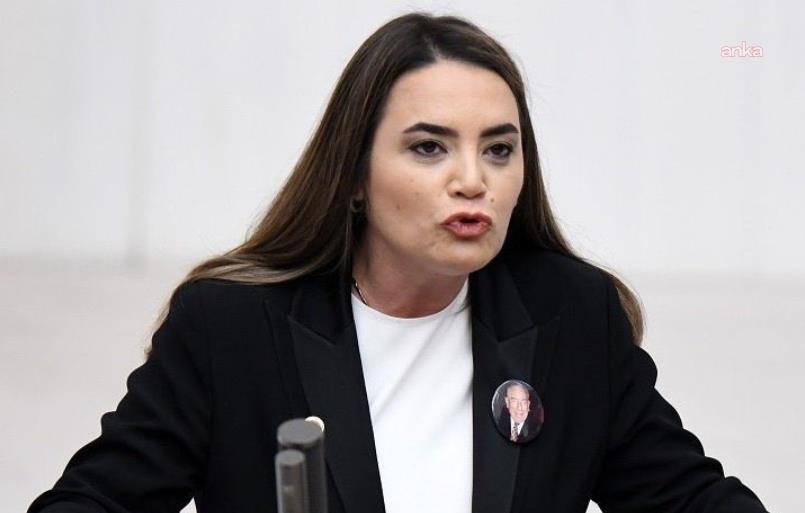 Ayyüce Türkeş’ten Adana’daki dolu felaketi için çağrı: “Üreticiler yalnız bırakılmamalı”