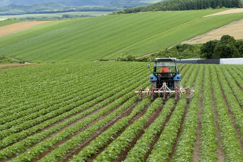 TÜİK: Üreticinin Maliyet Artışı Yüzde 33,6