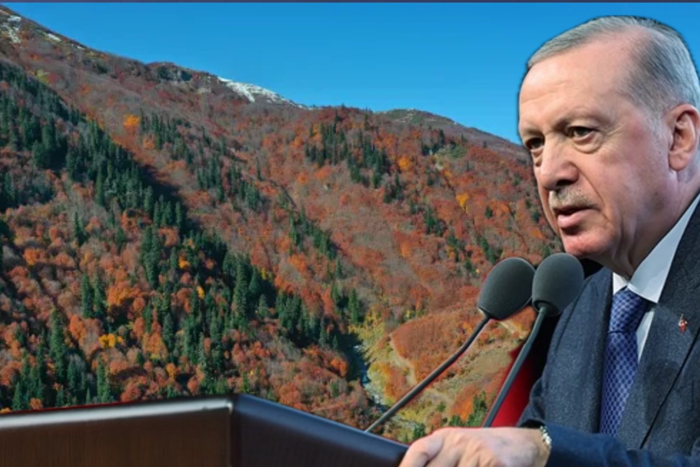 Adana ve 10 İlde Orman Sınırları Değişti