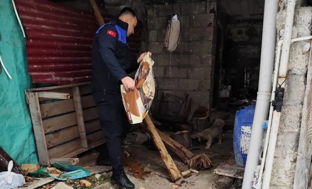 Karaisalı Belediyesi sokak hayvanlarını unutmadı