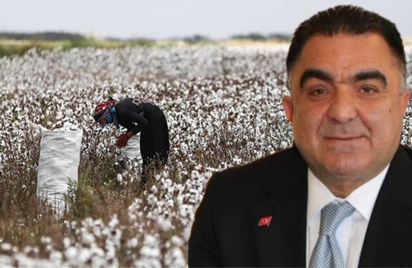 “Yerli Pamuk Üretimi Desteklemeli”