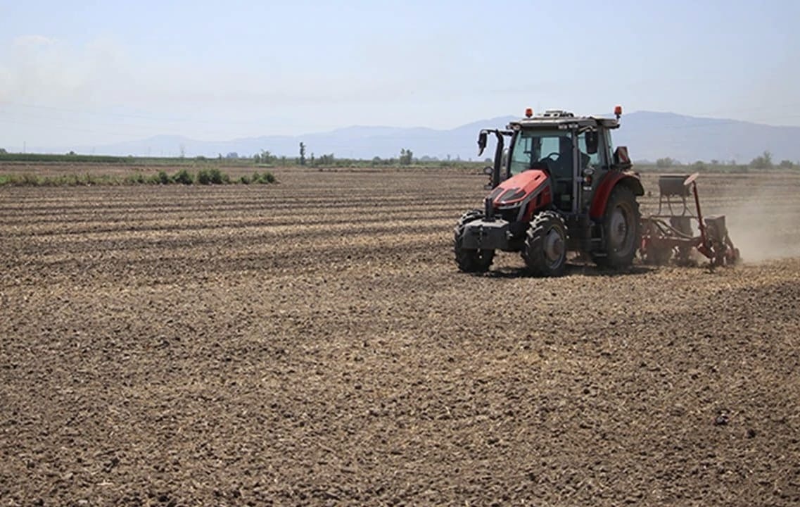 TÜİK’e Göre Adana’da Hangi Ürün Arttı?