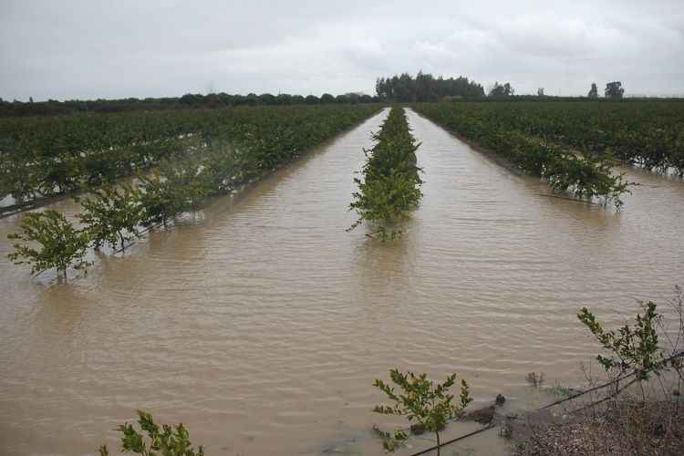 Meteoroloji: Adana’da 5 Güne Dikkat!