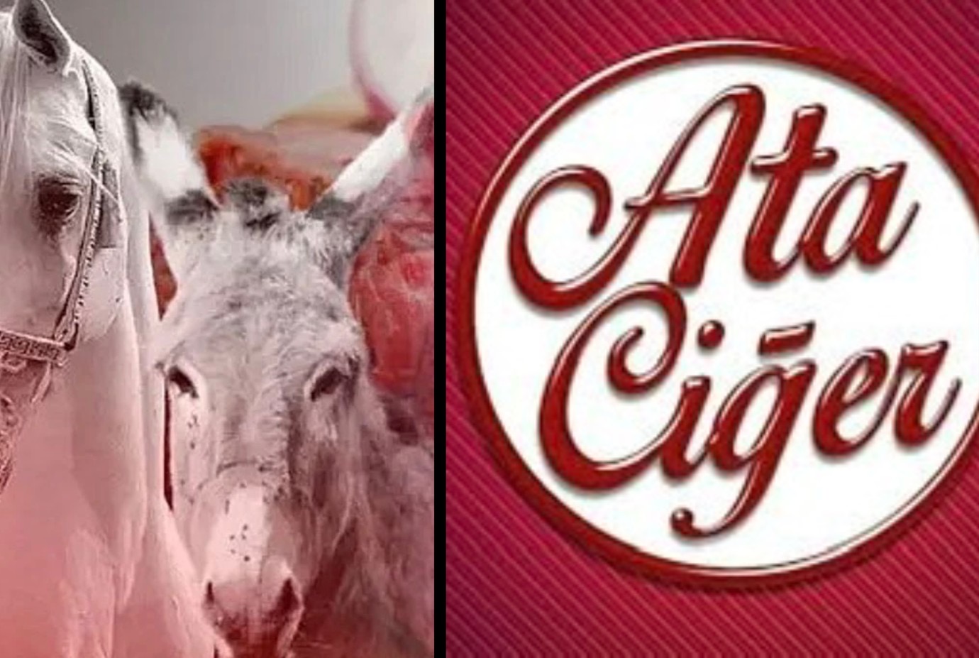 Bakanlık Açıklamasının Perde Arkası