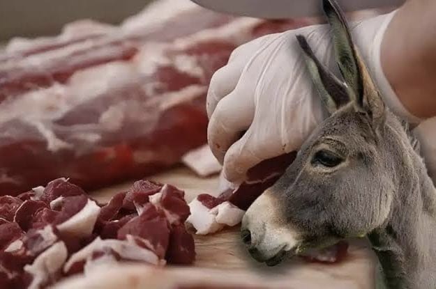 Adana’da Yine At Eşek Eti Skandalı