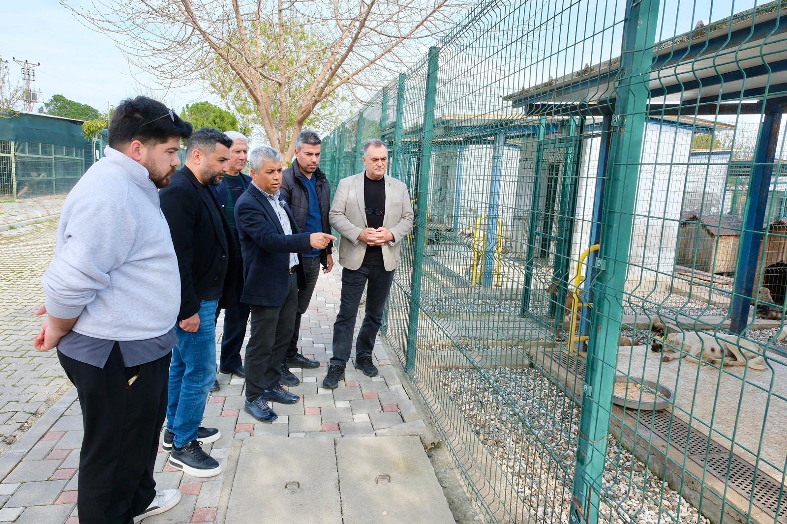 “Yanıltıcı Yorumlara İtibar Etmeyin”