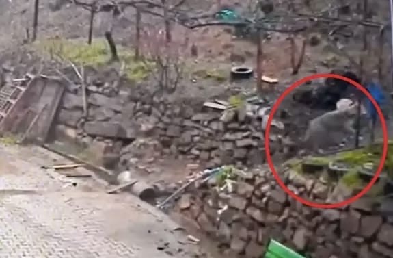 Aç Kurt İlçe Merkezine İndi