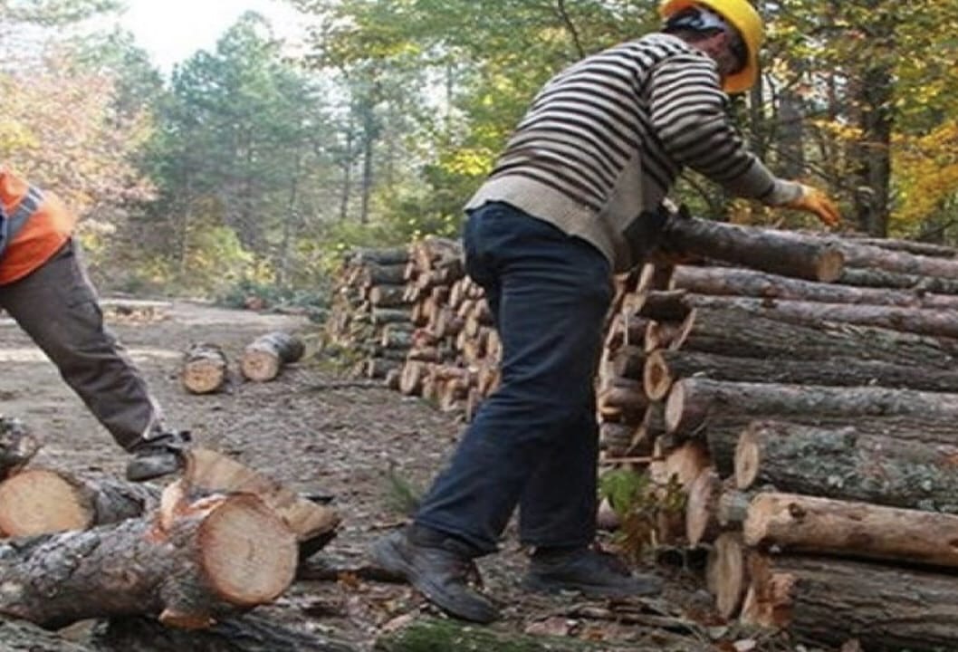 Ormancılar ve Muhtarlara Tutuklama