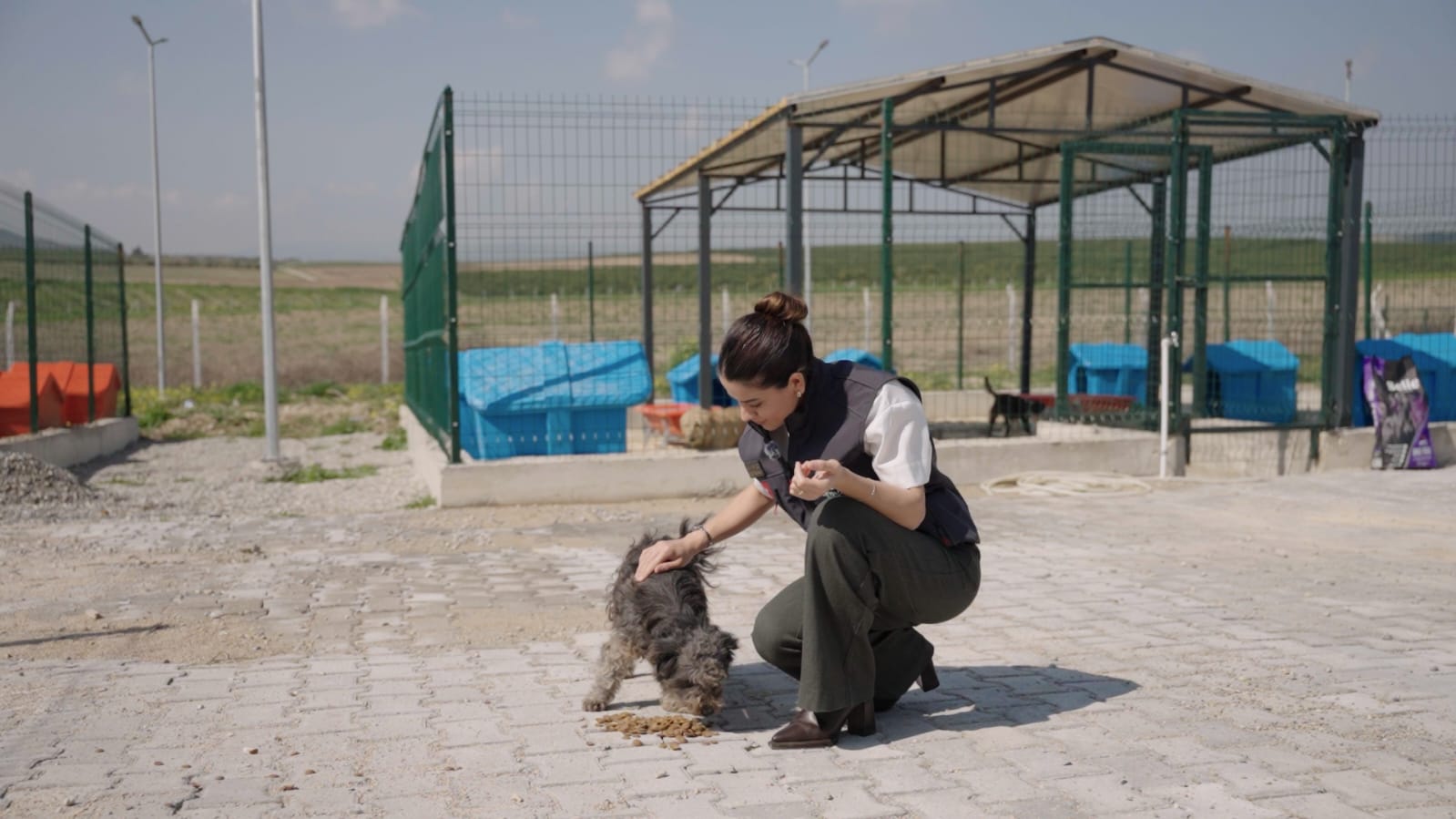 Yıldız: “Patili Dostlarımızı Sağlıkla Doğal Yaşam Alanına Taşıyoruz”