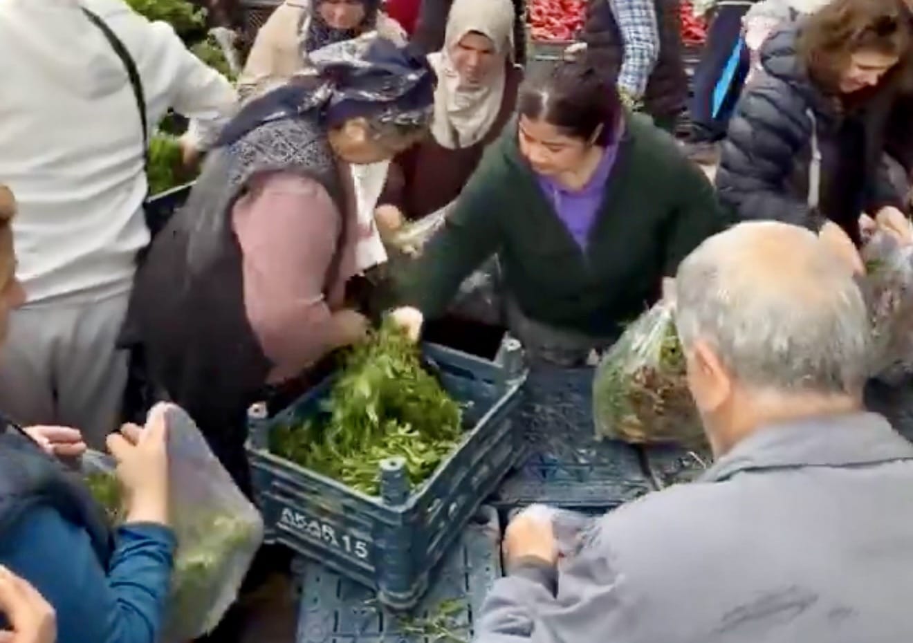 1 TL’lik Nane ve Maydanoza Hücum!