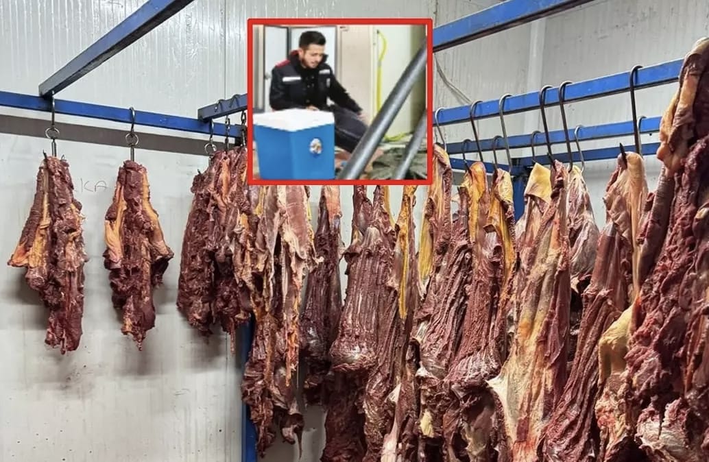 Adana’da At ve Eşek Eti Operasyonu