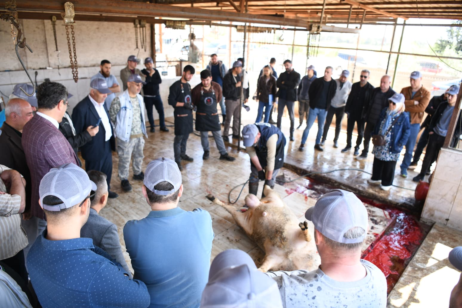 SARIÇAM’SA KURBAN KESİM ELEMANI KURSU TAMAMLANDI