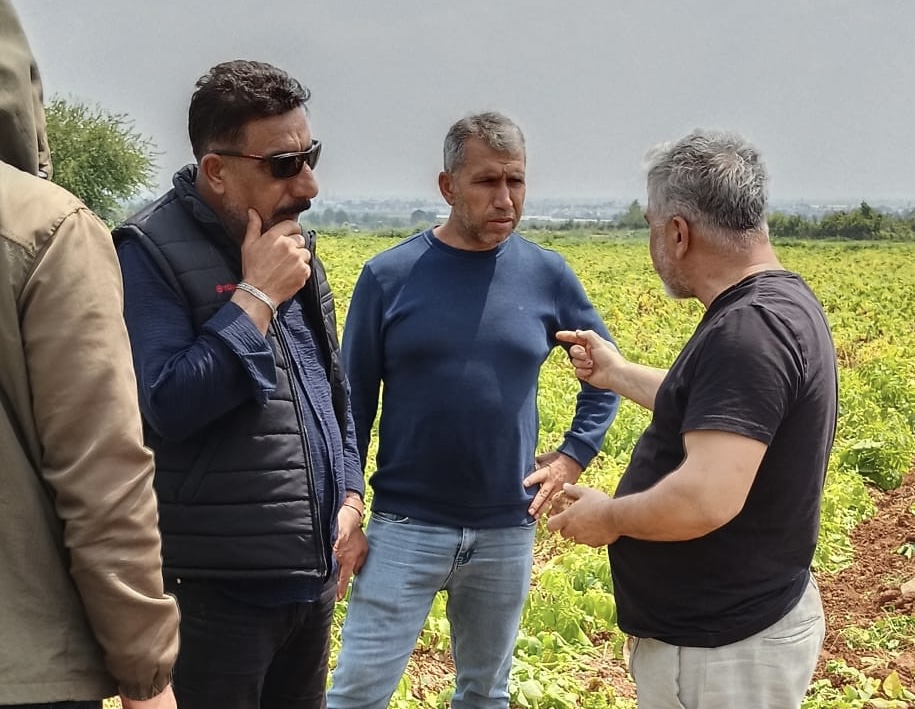 Anahtar Parti Sahada: Adana Çiftçisinin Sorununa Neşter!