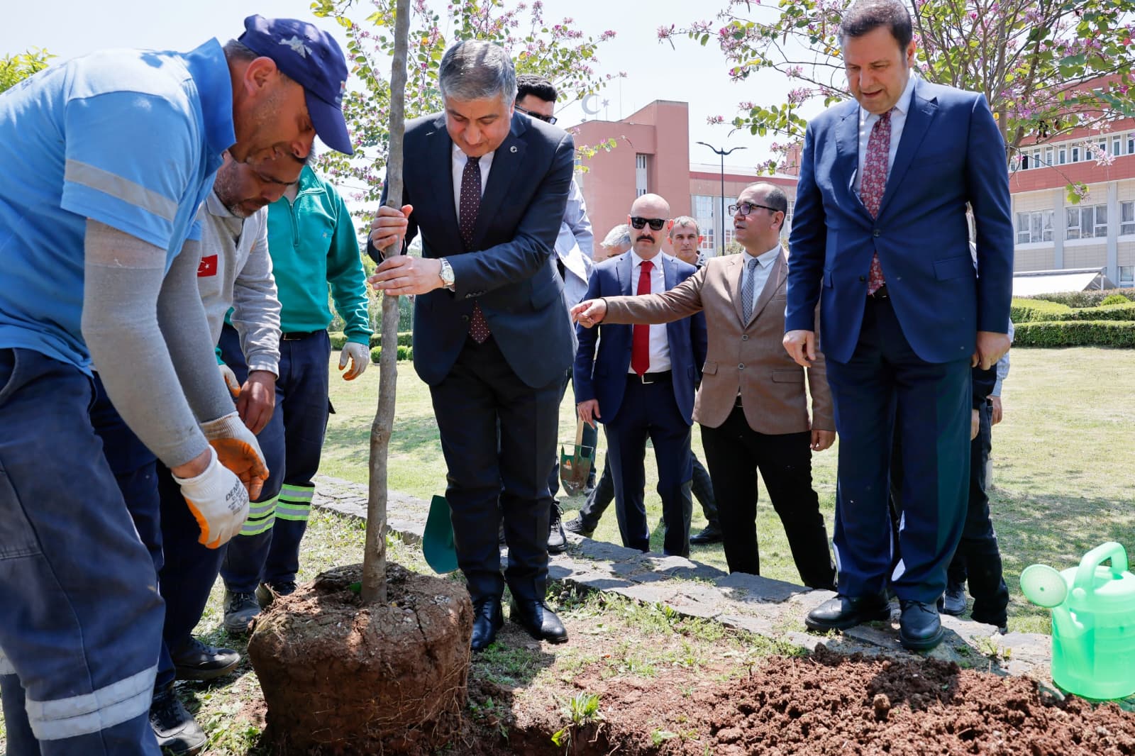 ADANA VALİLİĞİNİN BAHÇESİNDE 36 TURUNÇ AĞACI TOPRAKLA BULUŞTU