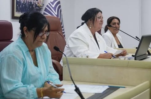 Meclisten Borçlanma Yetkisi İstedi