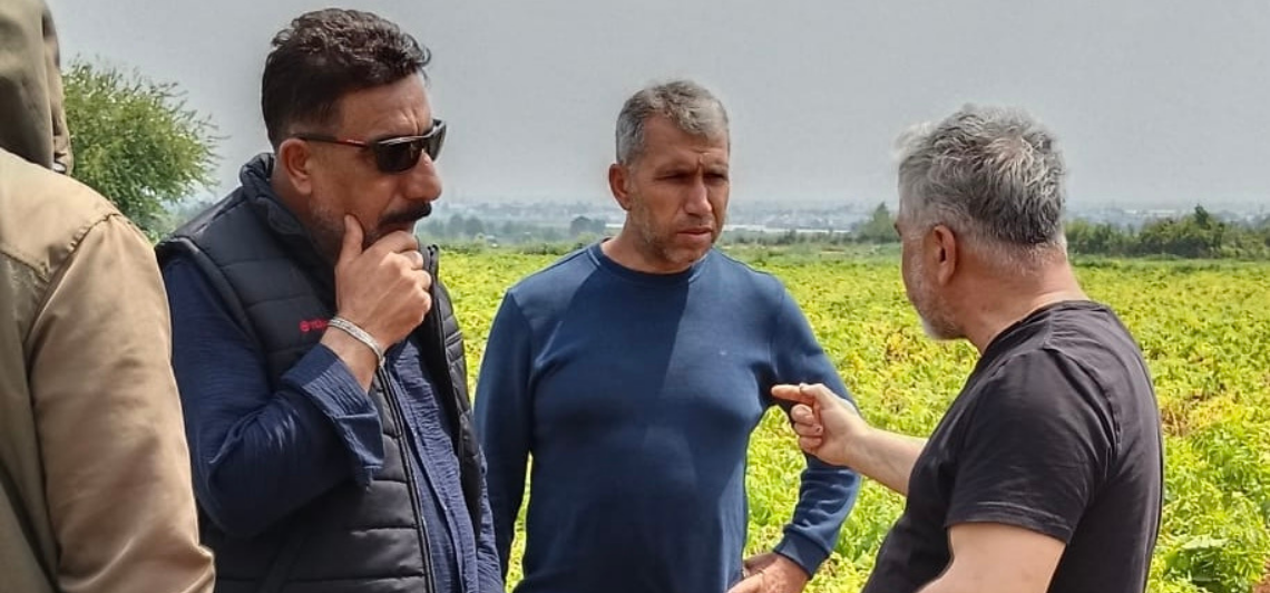 Anahtar Parti Sahada: Adana Çiftçisinin Sorununa Neşter!