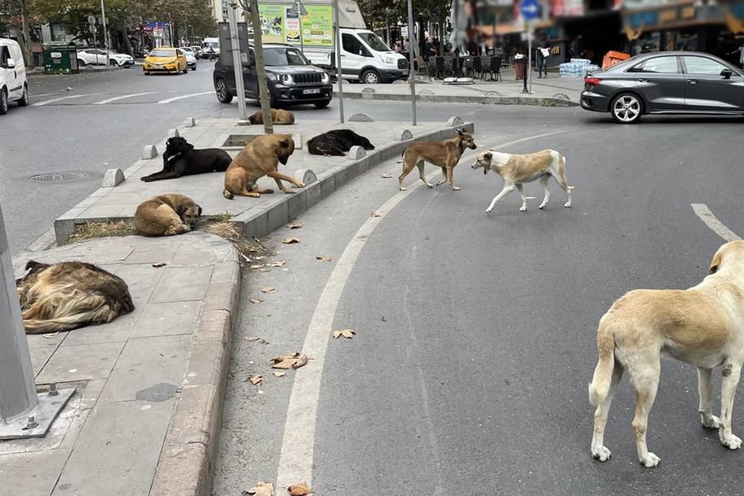 İki Belediye Başkanına Soruşturma İzni