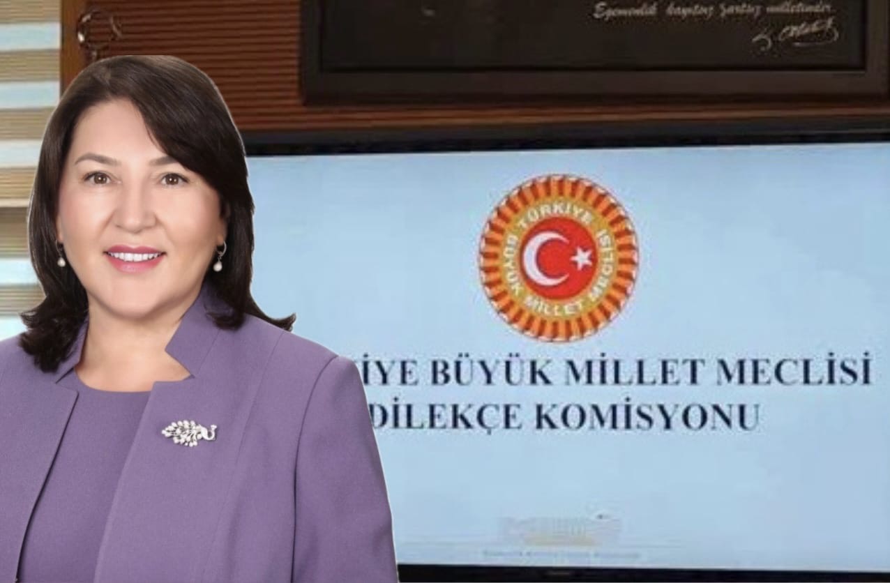 Dilekçe Komisyonu’na Gelen Talepler…
