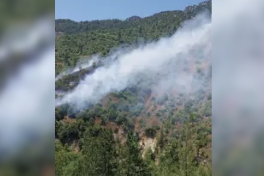 Feke İlçesinde Orman Yangını