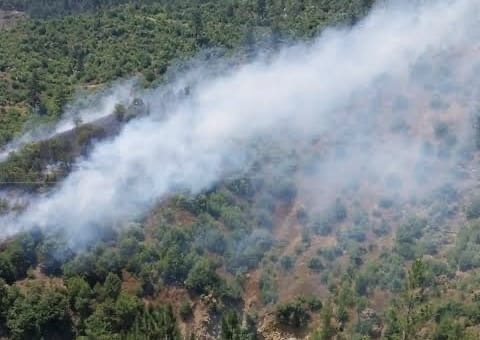 Valilik: Orman Yangını Kontrol Altında