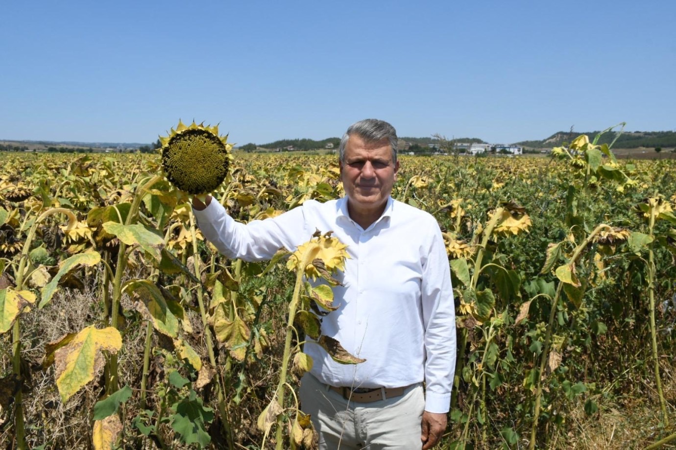 “Hasat Vakti İthalat Çiftçiye Darbedir”