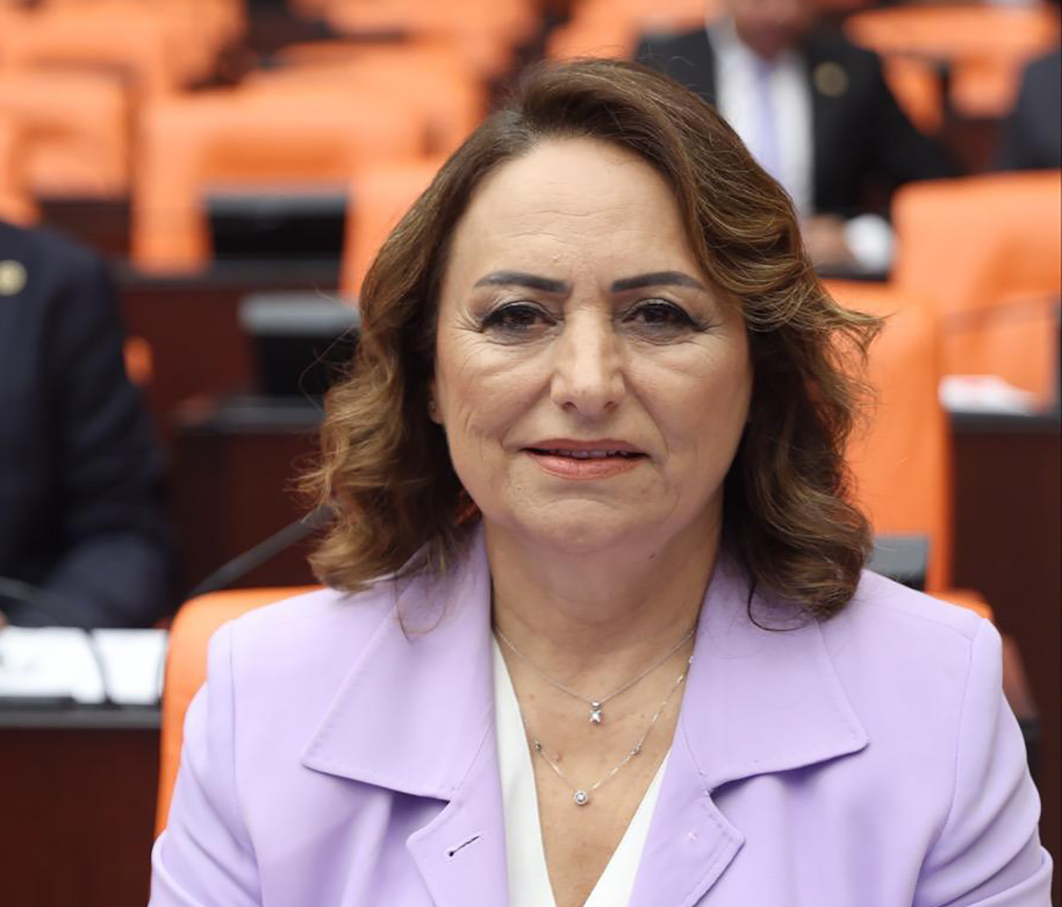 Bir haftada 7 cinayet oldu, TBMM göreve davet edildi